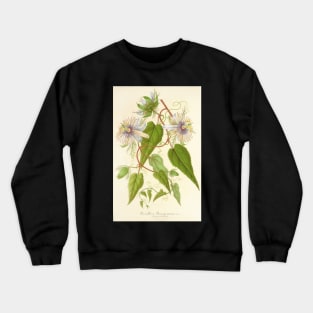 Passion Flower - Passion Vine botanical illustration Crewneck Sweatshirt